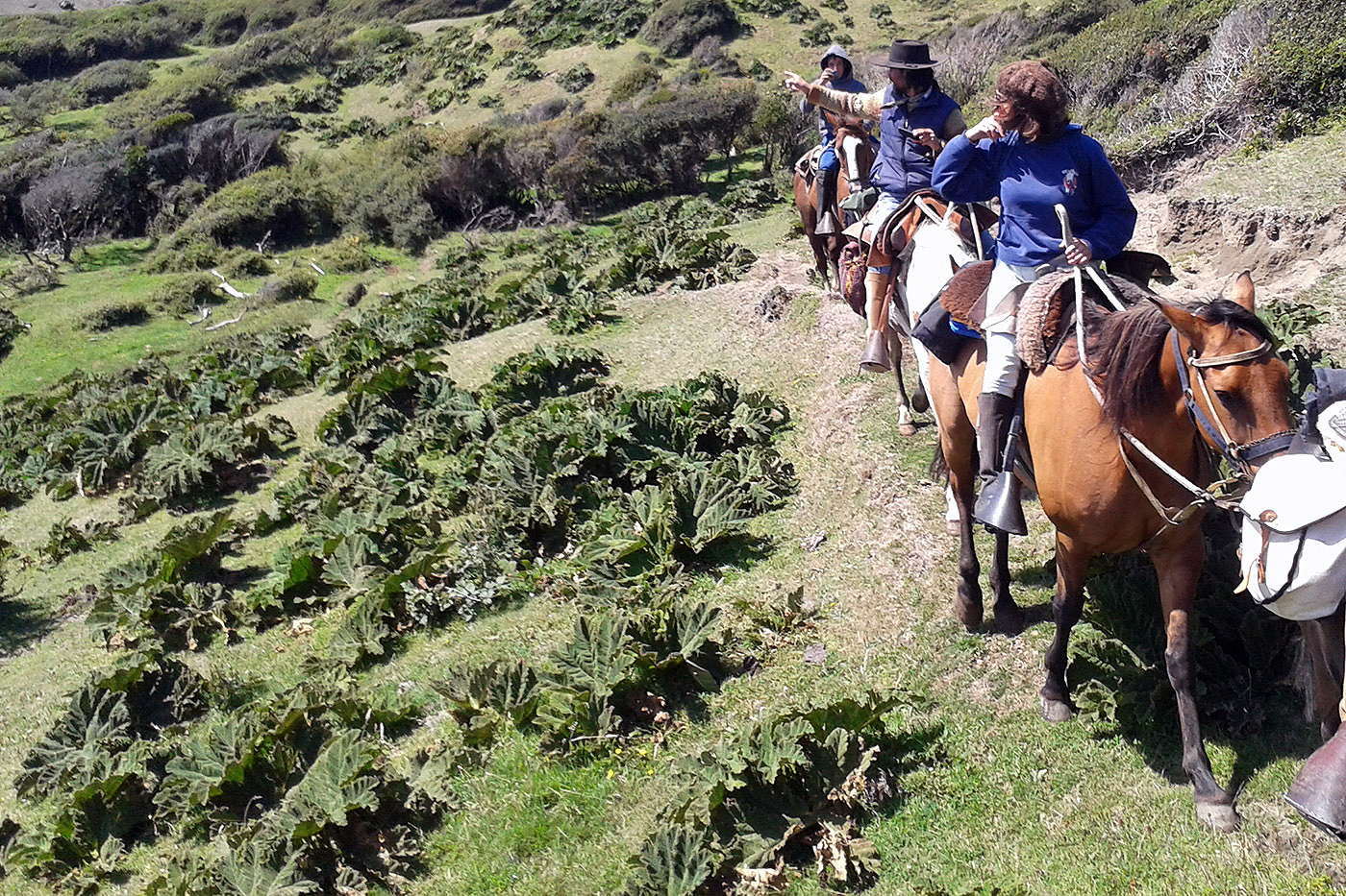 Cabalgatas en Dunas de Cucao - Palafito Cucao Chiloé Chile