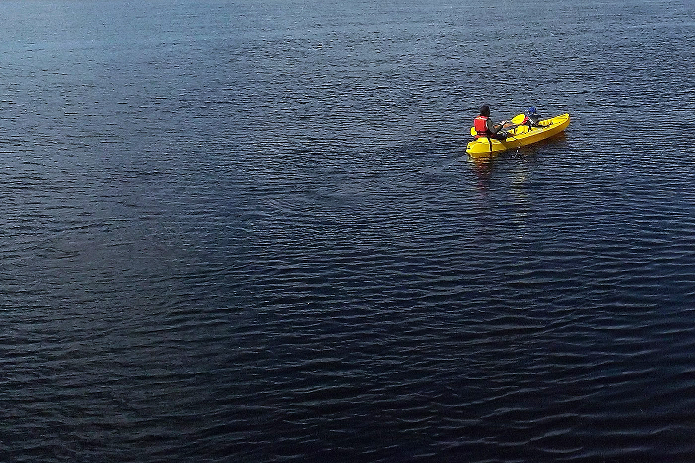 Kayak Guiado en la Isla de Chiloé - Parque Nacional Chiloé - Palafito Cucao - Patagonia Chile