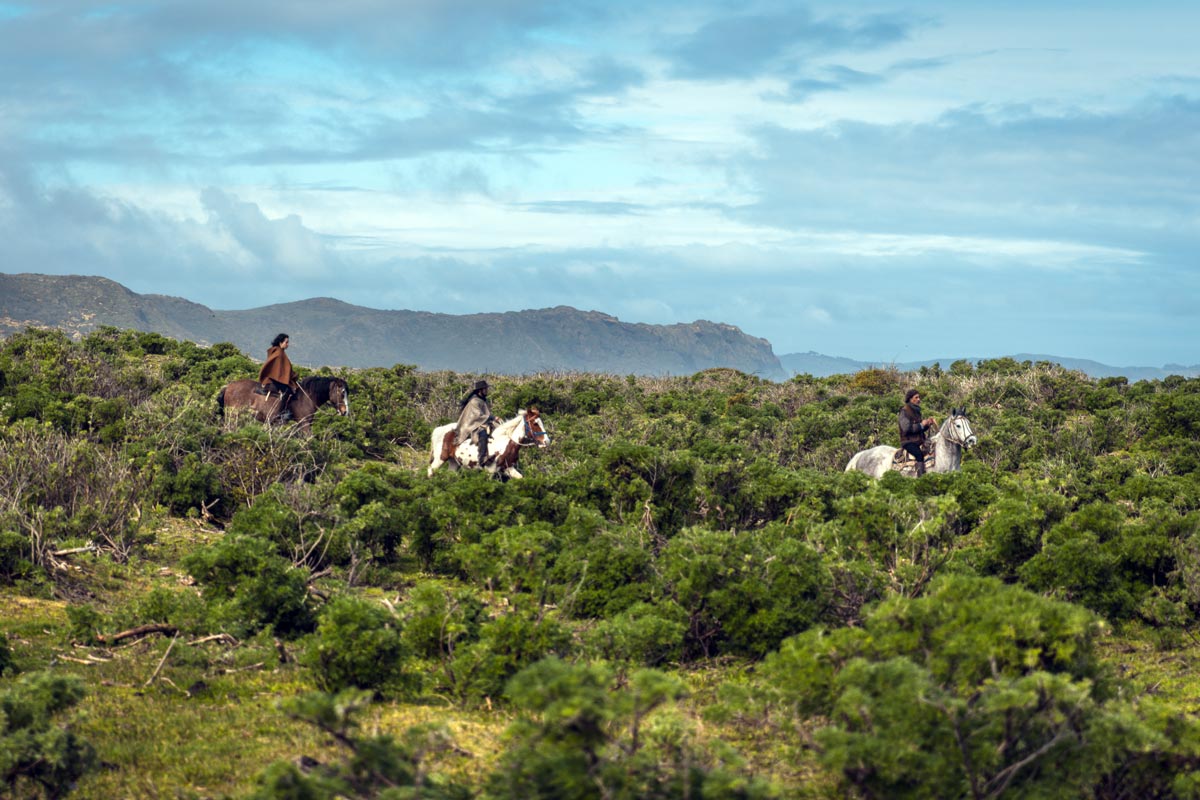 Cabalgatas en Chiloé - Palafito Cucao Lodge